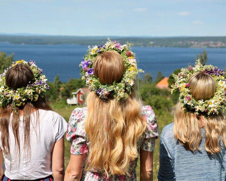 Mistommer i Dalarna Foto Hanne Marit Tobiassen .jpg