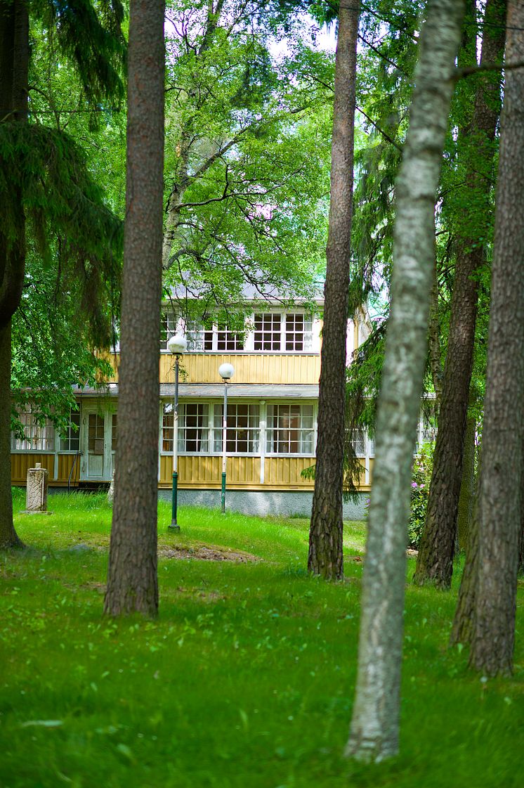 Bild från området i Folkets Park med Gula Paviljongen skymtad mellan träden