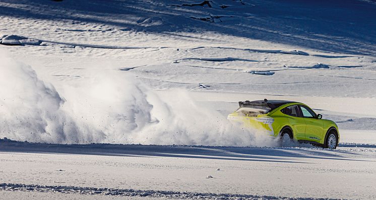 2024 Mustang Mach-E Rally Gol (1).jpg