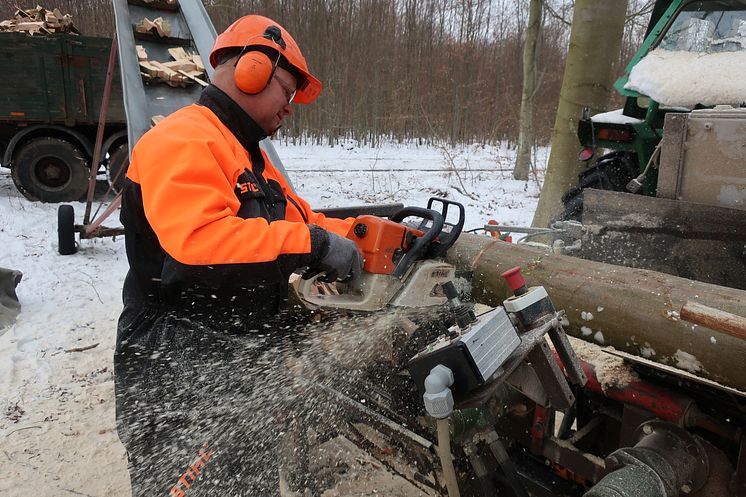 Hjertet i savværket - en STIHL MS 361