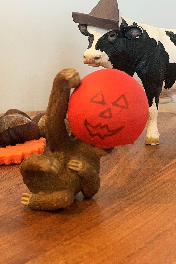 Halloween sloth