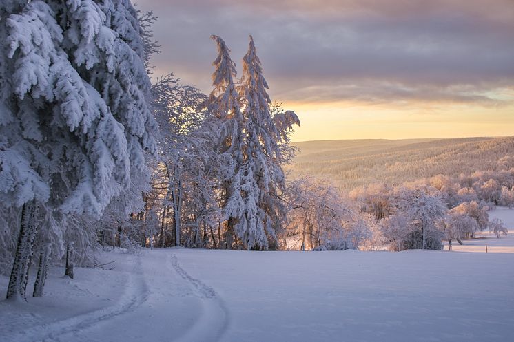 Osterzgebirge_Foto_Lukas Häuser_IMG_7569.jpg