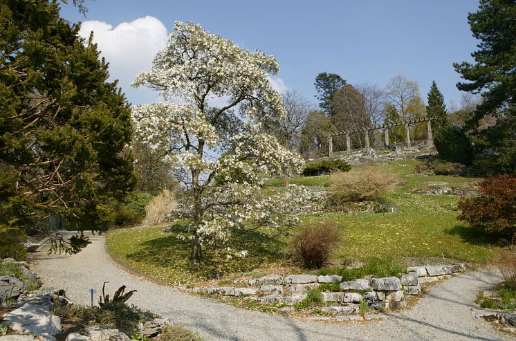 Botanischer Garten Lausanne