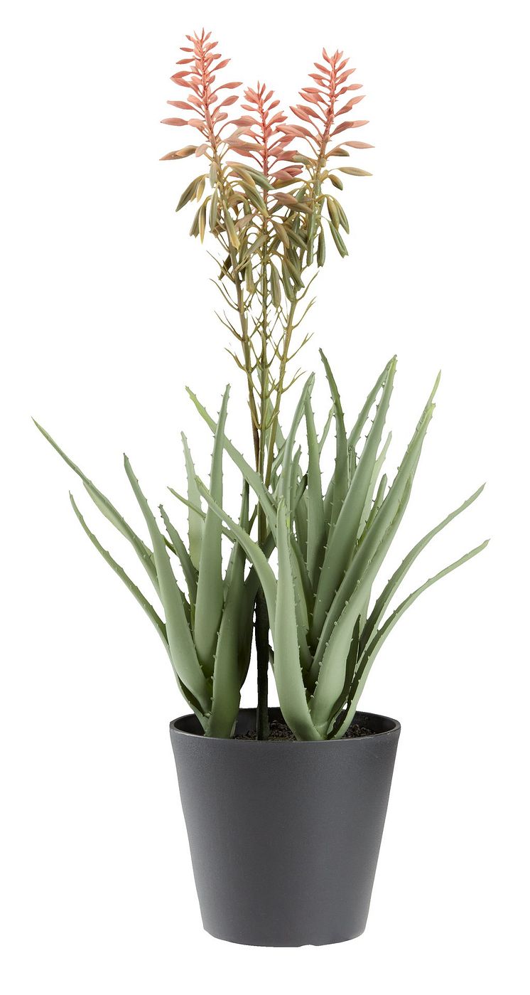 Konstgjord växt RASMUS H51cm med  blommor