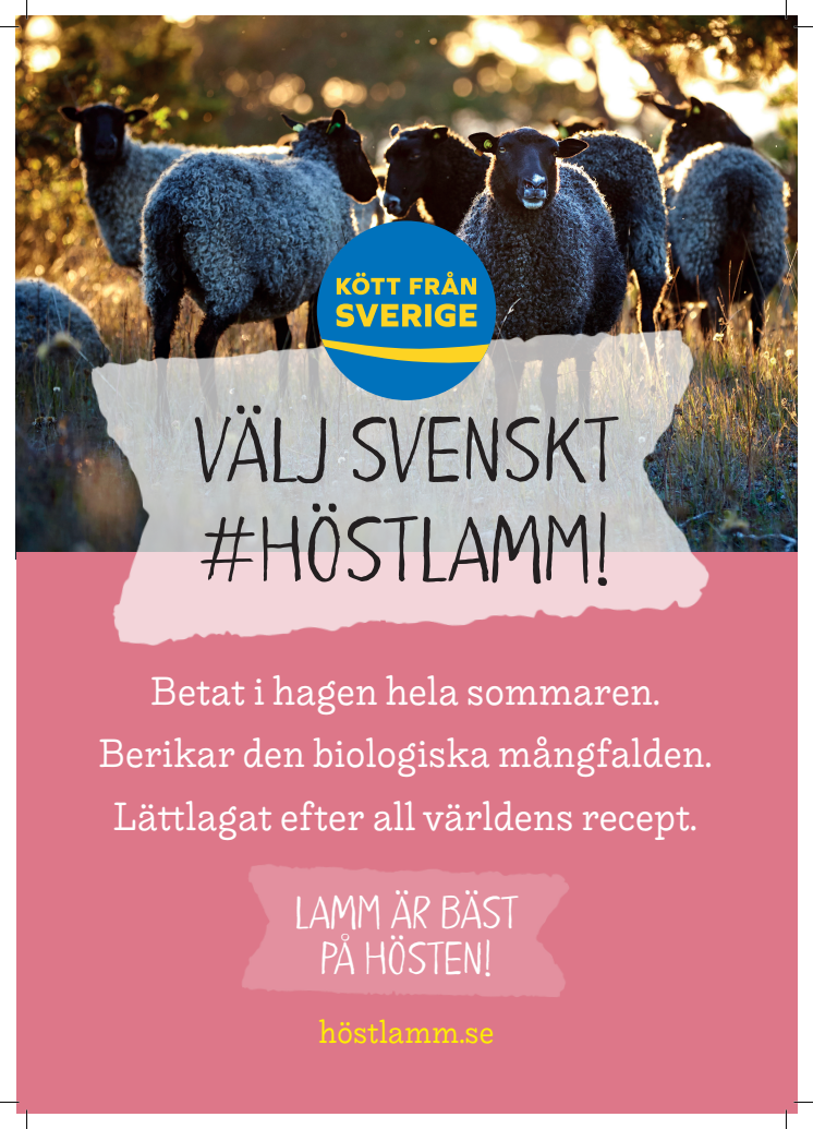 ​Kampanj #Höstlamm 2019, tre original för butik med skärmärken