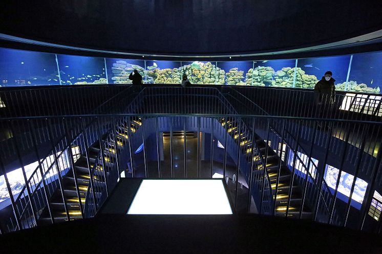 Aquarium im Zoo Leipzig -360 Grad-Ringbecken