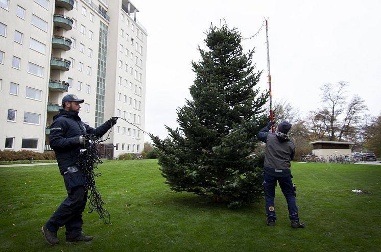 Julgran8.jpg