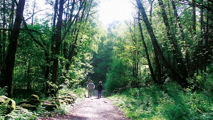 Fjällbo park ligger naturskönt med många härliga naturupplevelser och promenadspår.