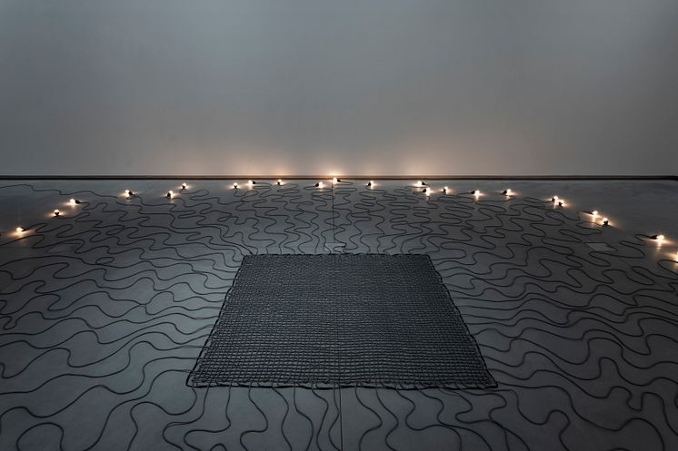 Mona Hatoum-0134