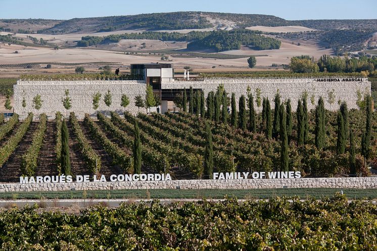 Hacienda Abascal - hotel og vinmarker en Ribera del Duero, Castilla y León