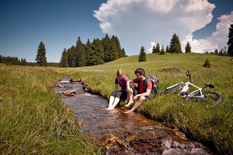 Sommerfrische bei einer Radtour durchs Erzgebirge 