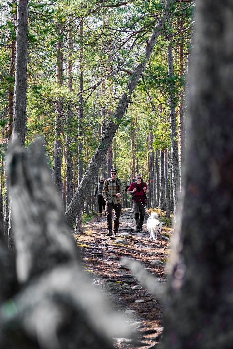 Vandring Umeåregionen