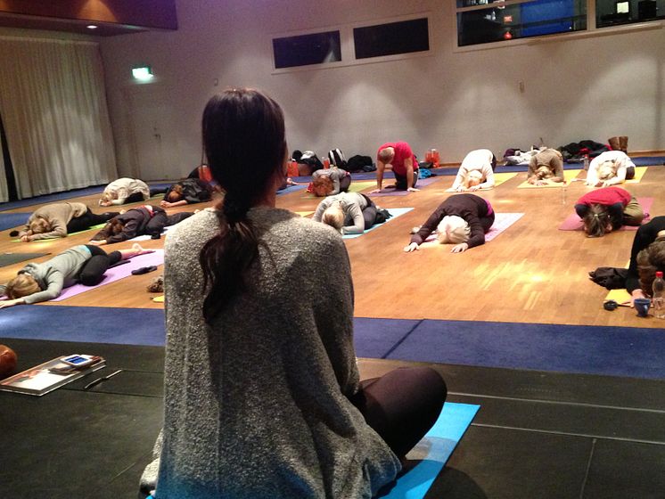 Yoga för dig-konventet 2013