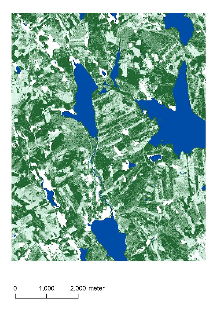 Utsnitt ur ny digital skogskarta från SLU