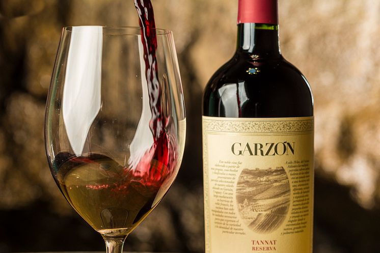 Bodega Garzón Tannat Reserve 