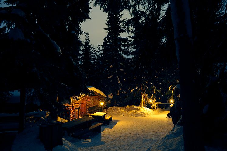Ute Vinter