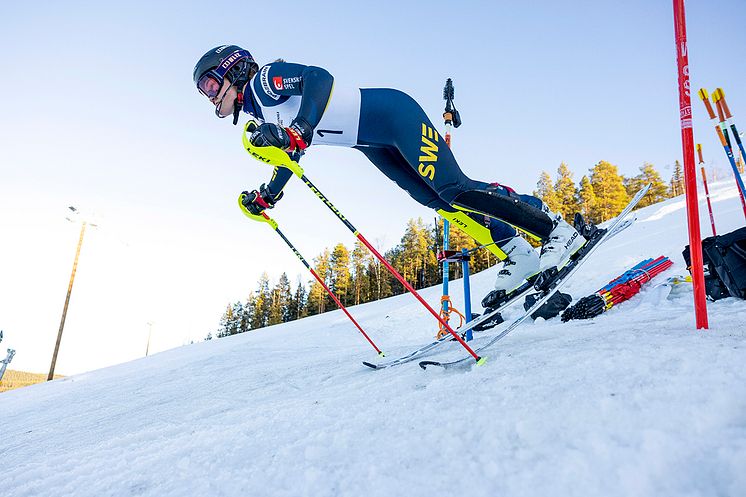 Anna Swenn Larsson Storklinten_22-8035 Foto Niklas Axhede