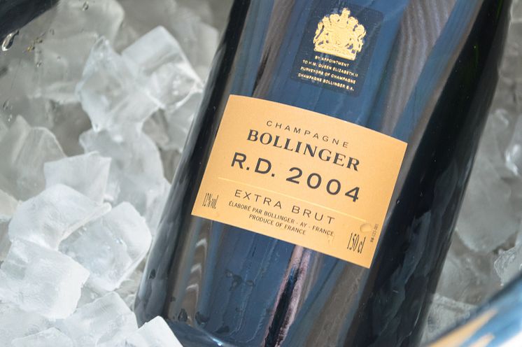 Bollinger R.D. 2004 - närbild
