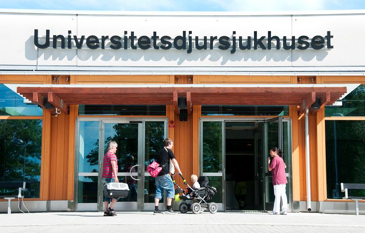 UDS - Universitetsdjursjukhuset