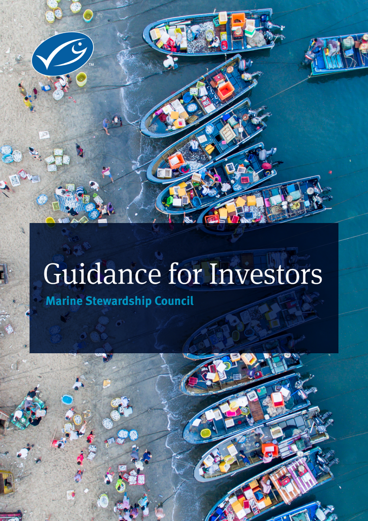GuidanceForInvestors_2020_August.pdf