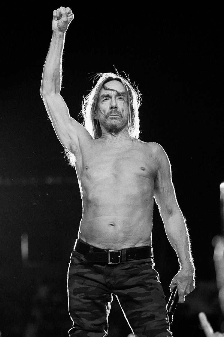 Iggy Pop – photo by Ross Halfin