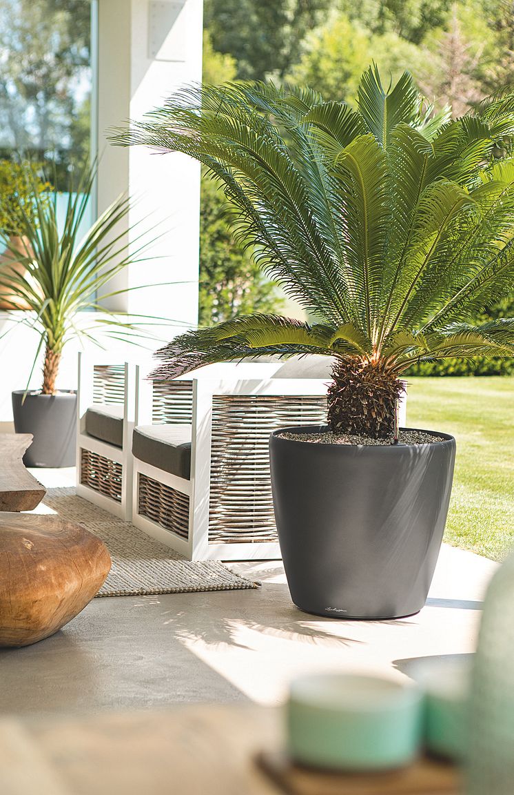 Garten und Terrasse in Sommerlaune