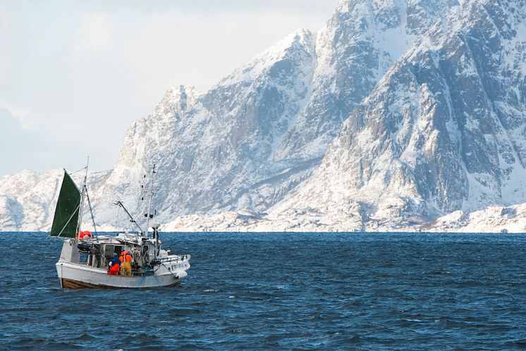 Damals so wie heute wird mit kleinen Skrei-Booten gefischt