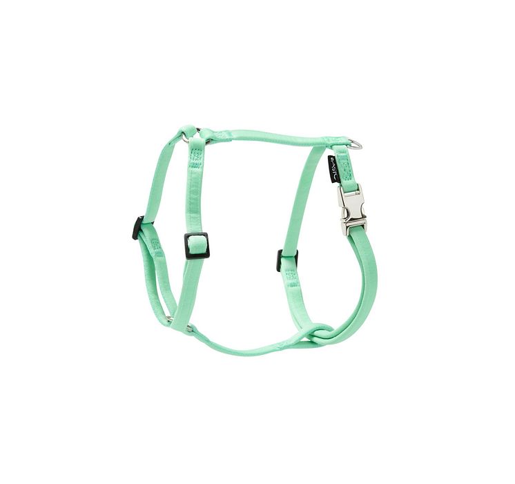 141862_Basic Sweet harness mint green.jpg