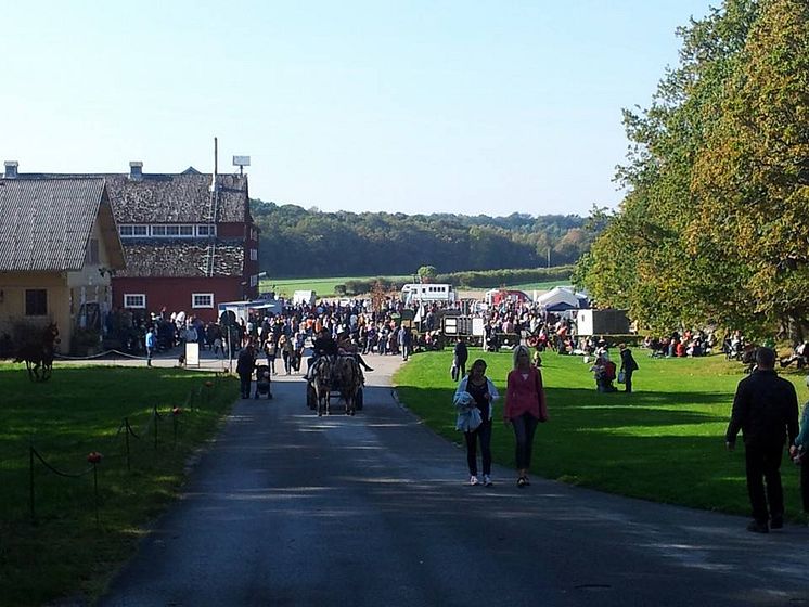 Folkmyller på skördefesten foto Tjolöholms Slott