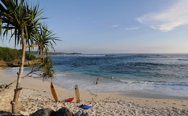 momondo Flygsökindex: Bali kan bli ny resefavorit