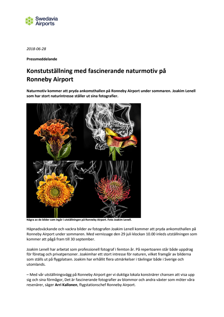 Konstutställning med fascinerande naturmotiv på Ronneby Airport