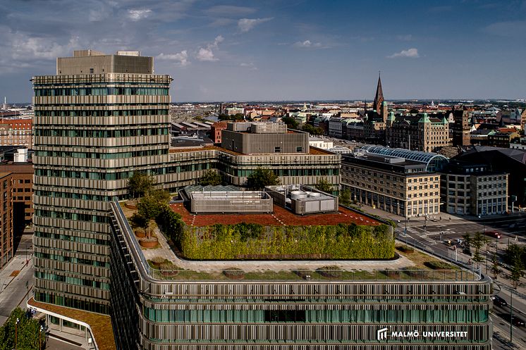 Niagara, Malmö universitet