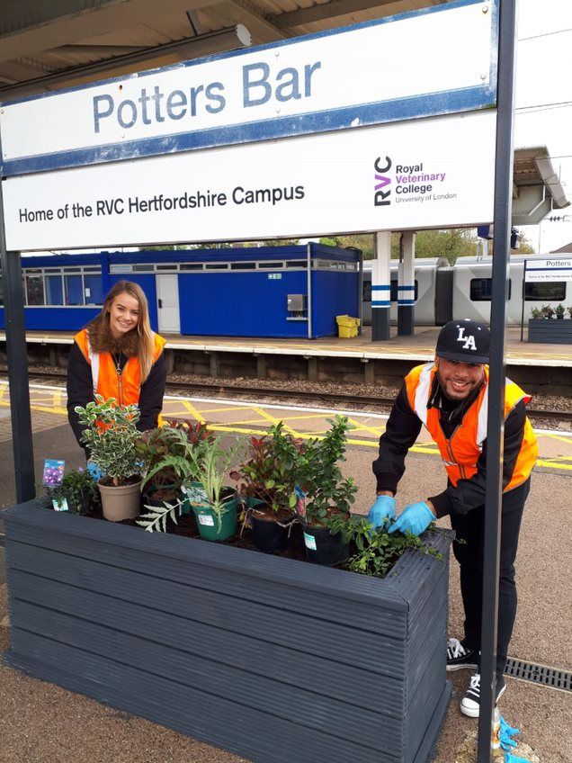 Potters Bar station planting