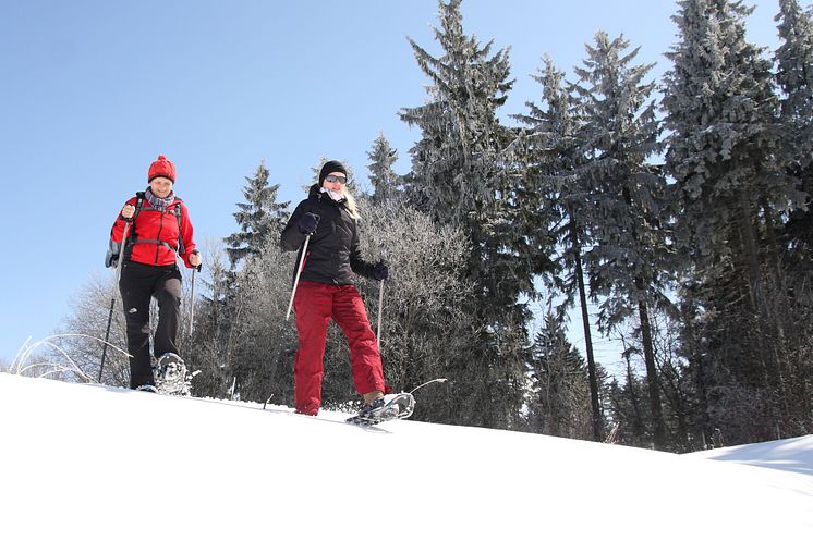 Schneeschuhtouren im Erzgebirge 