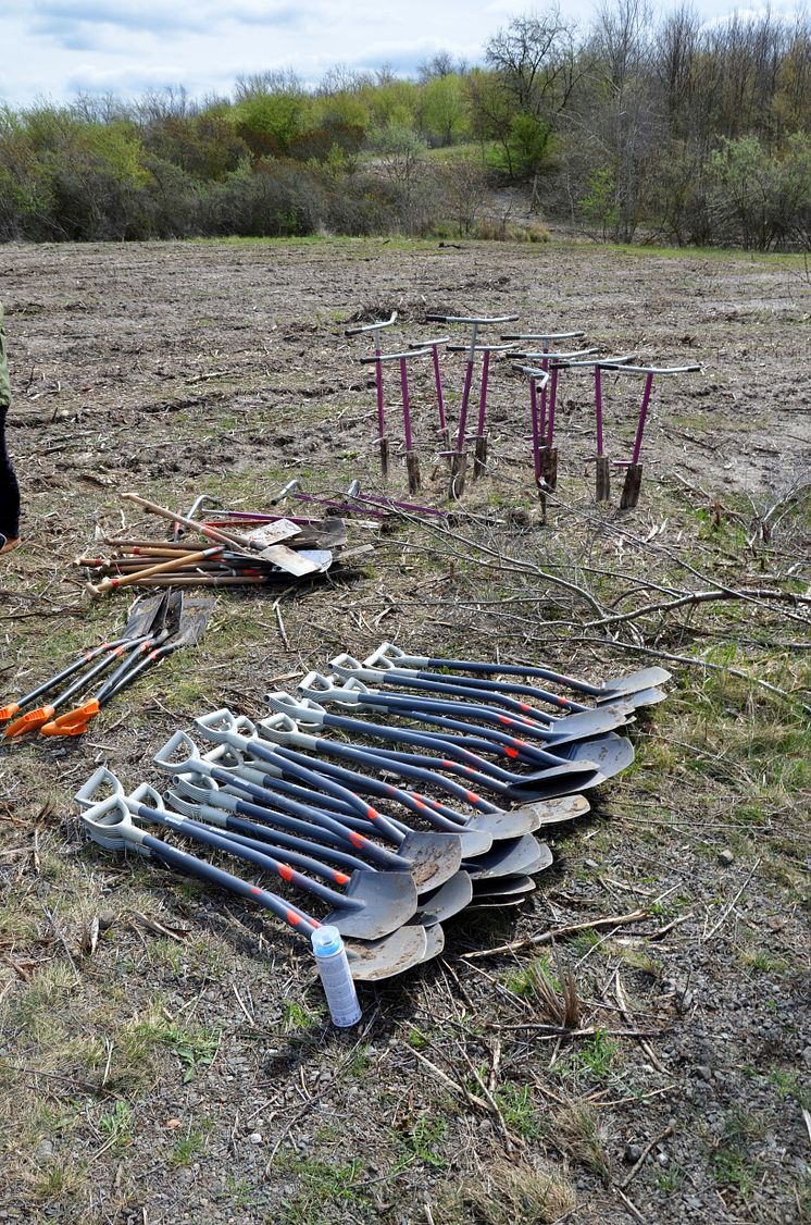 Waldmeisterschaft - Pflanzaktion im ehemaligen Tagebau Peres 