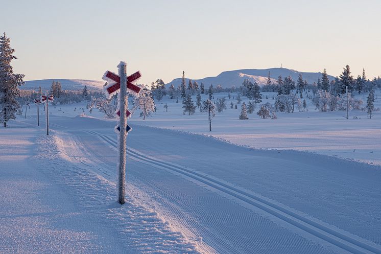 Lofsdalen vinter_Emma Edejern_02