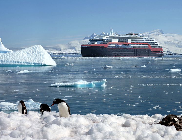 Antarctica_AM_Pinguins©Hurtigruten