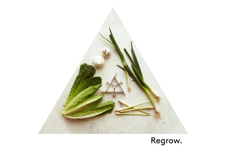 Grönsaksodling Regrow – design Madeleine Nelson