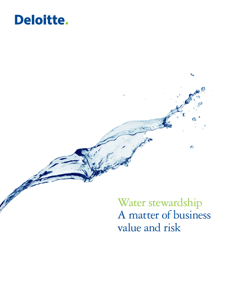 Water stewardship: A matter of business value and risk