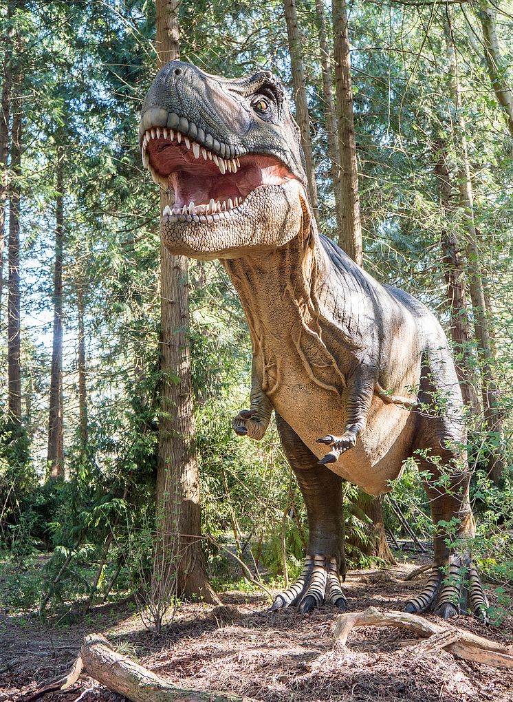 Knuthenborg Safaripark:  Dinosaurier-Wald- Trex2