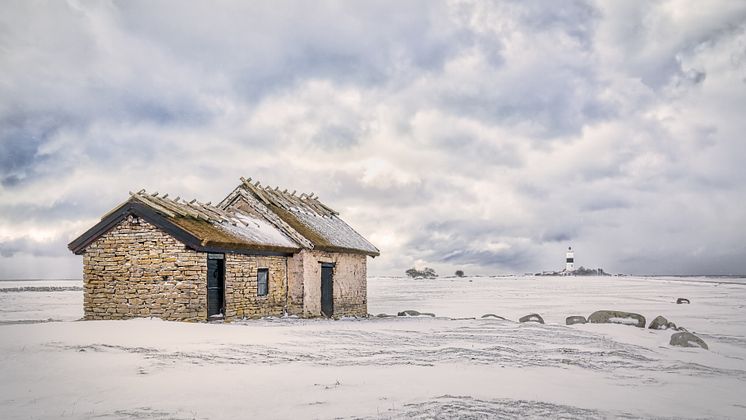 Vinter på Öland