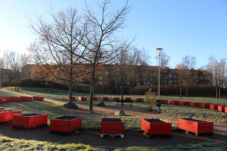 Stadsodlingi Tegelbruksparken