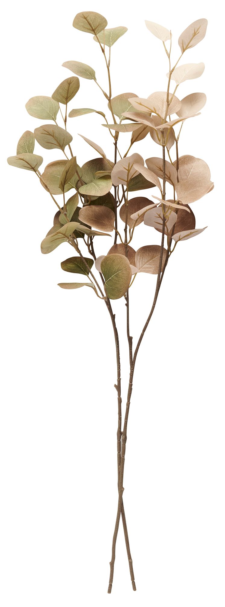 NYHET! Twig Eucalyptus 79 cm Mixed colors Artificial material 2,99 EUR.jpg