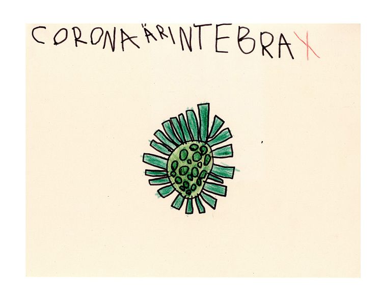 Bild från studie om barns kunskap om coronapandemin.