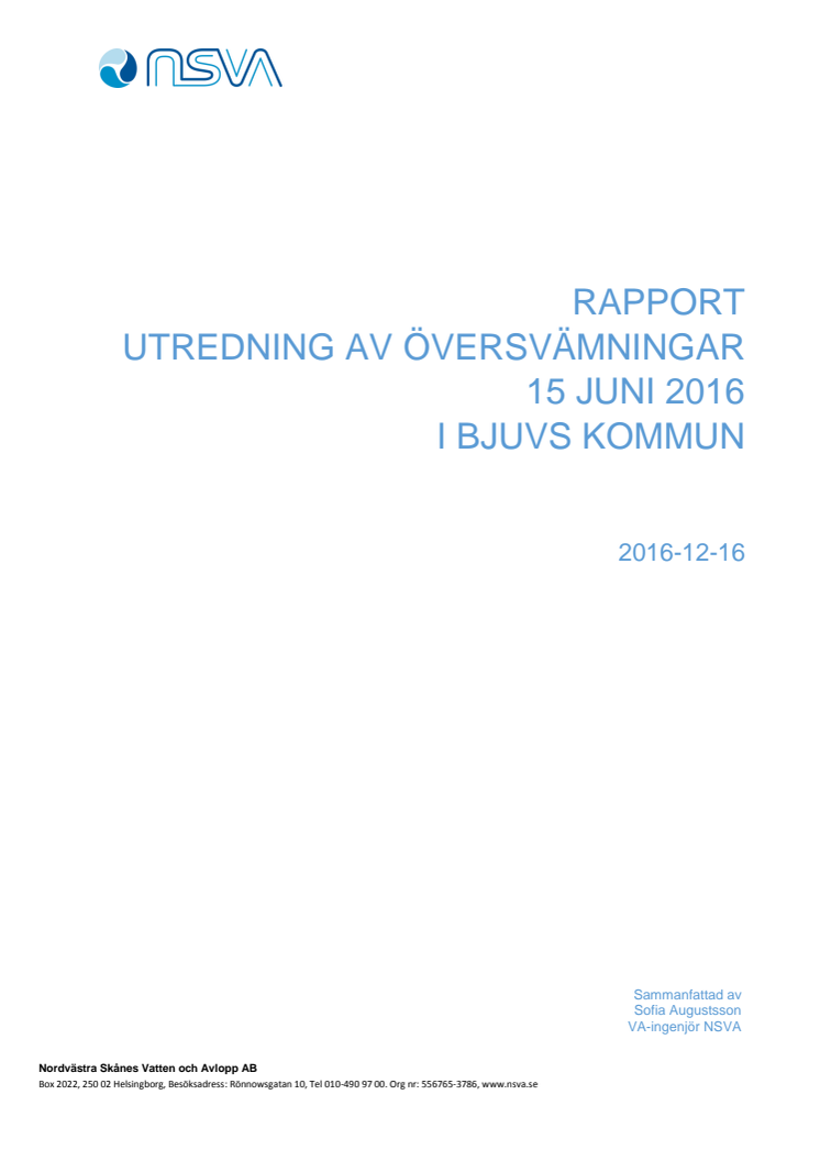 NSVAs rapport