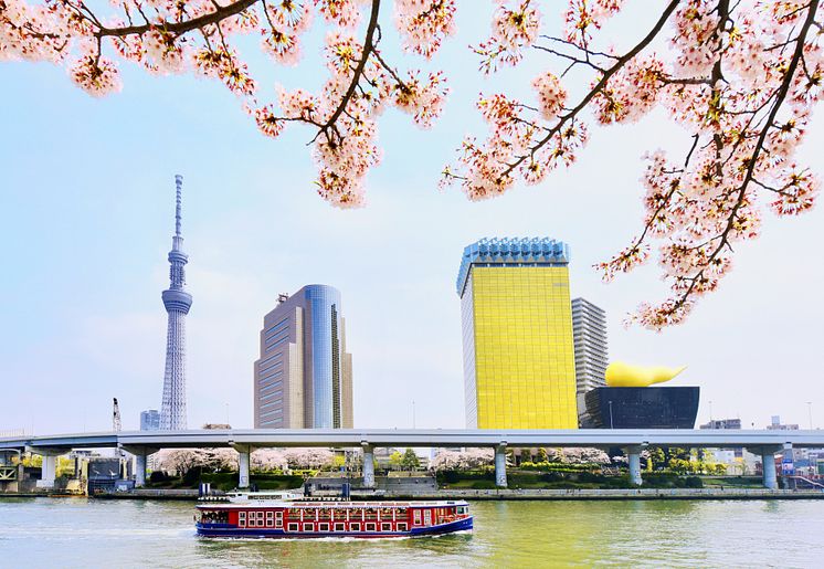 TOKYO SKYTREE and Sumida River