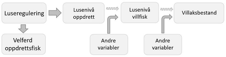 Figur Miljømessig effekt av Trafikklyssystemet.jpg