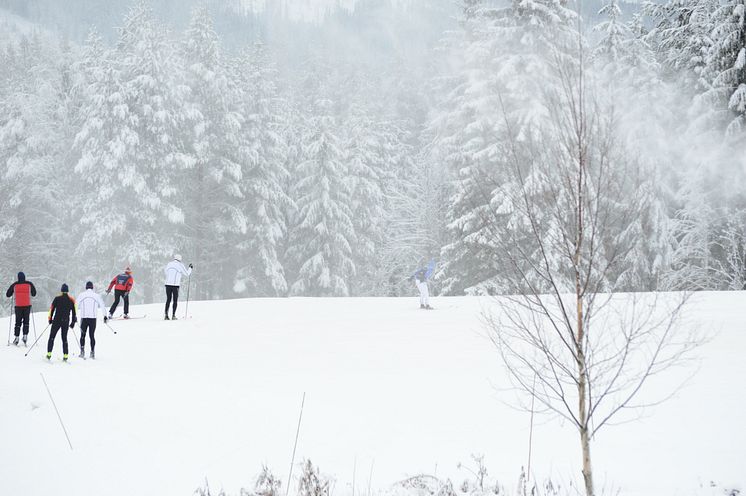 10 km langrennsløyper i Trysil