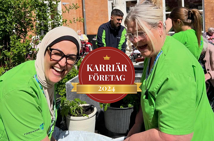 Postiljonenkarriär.png