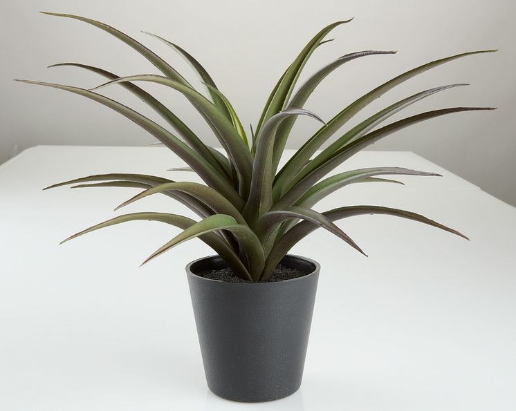 Kunstig plante FREIDIG Ø36xH32cm m/potte (125 DKK)